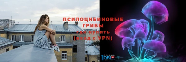2c-b Краснослободск