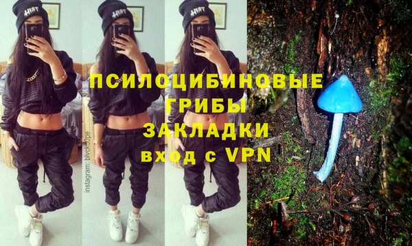 гидра Костерёво