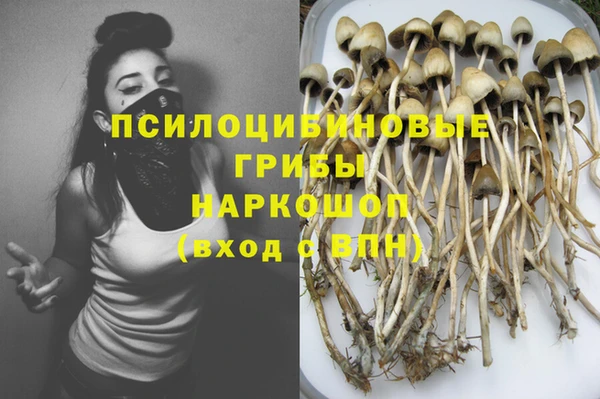гидра Костерёво