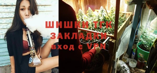 гидра Костерёво