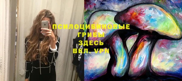гидра Костерёво