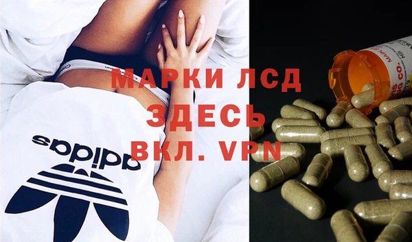 гидра Костерёво